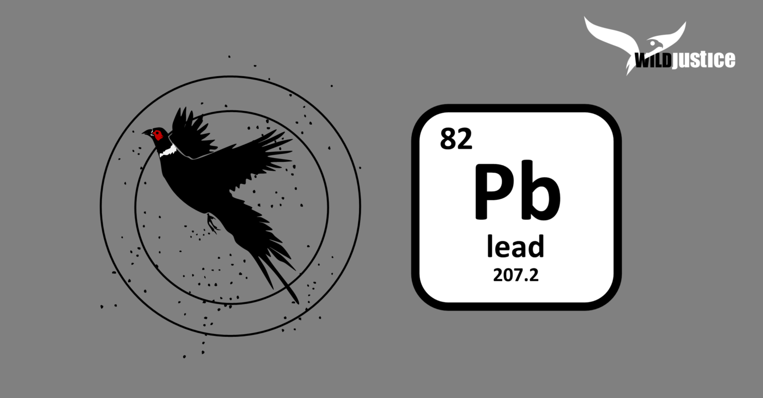 Phasing out toxic lead voluntarily STILL isn’t working… Wild Justice
