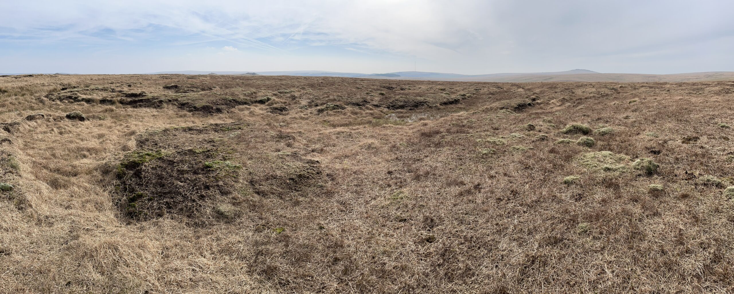 The Dartmoor Judgment: Accountability, Evidence and Nature